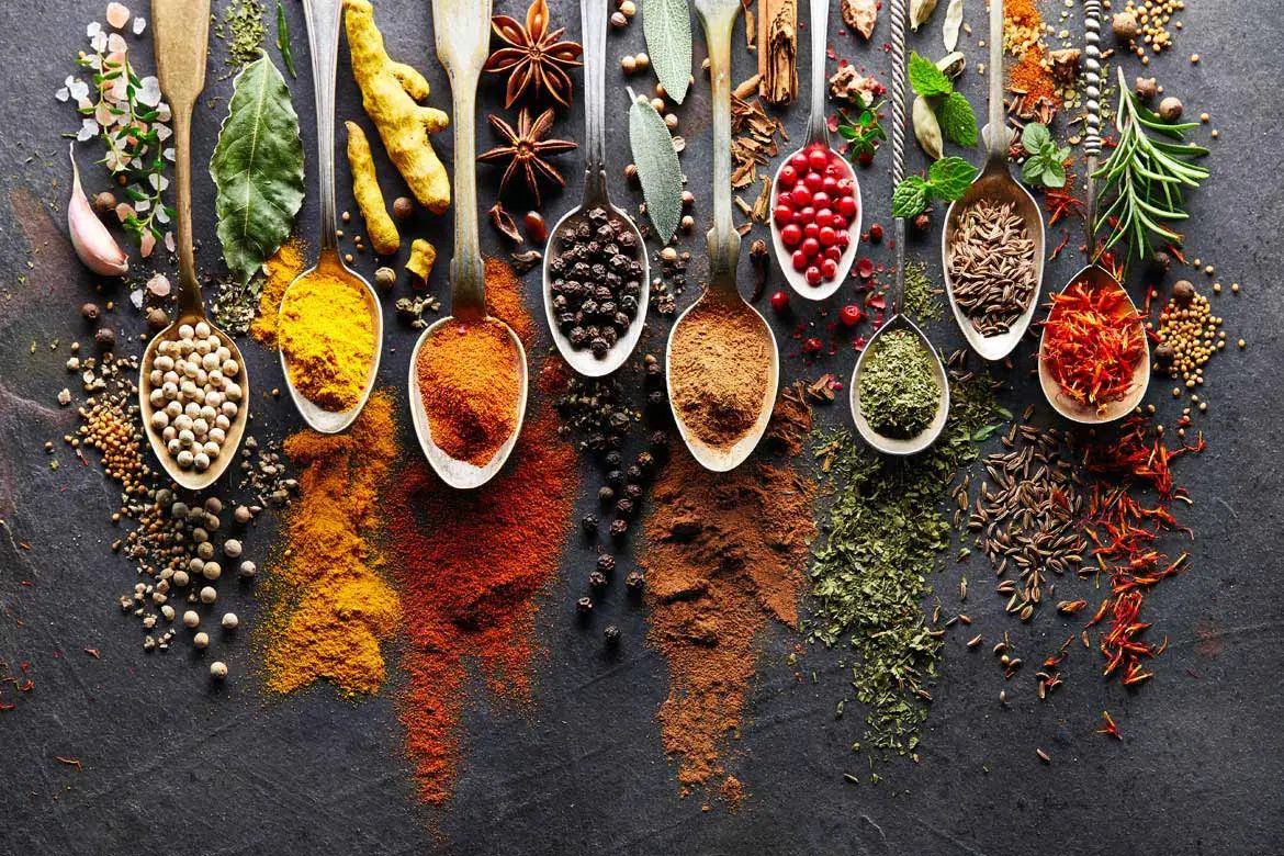 Colourful various herbs and spices for cooking on dark background